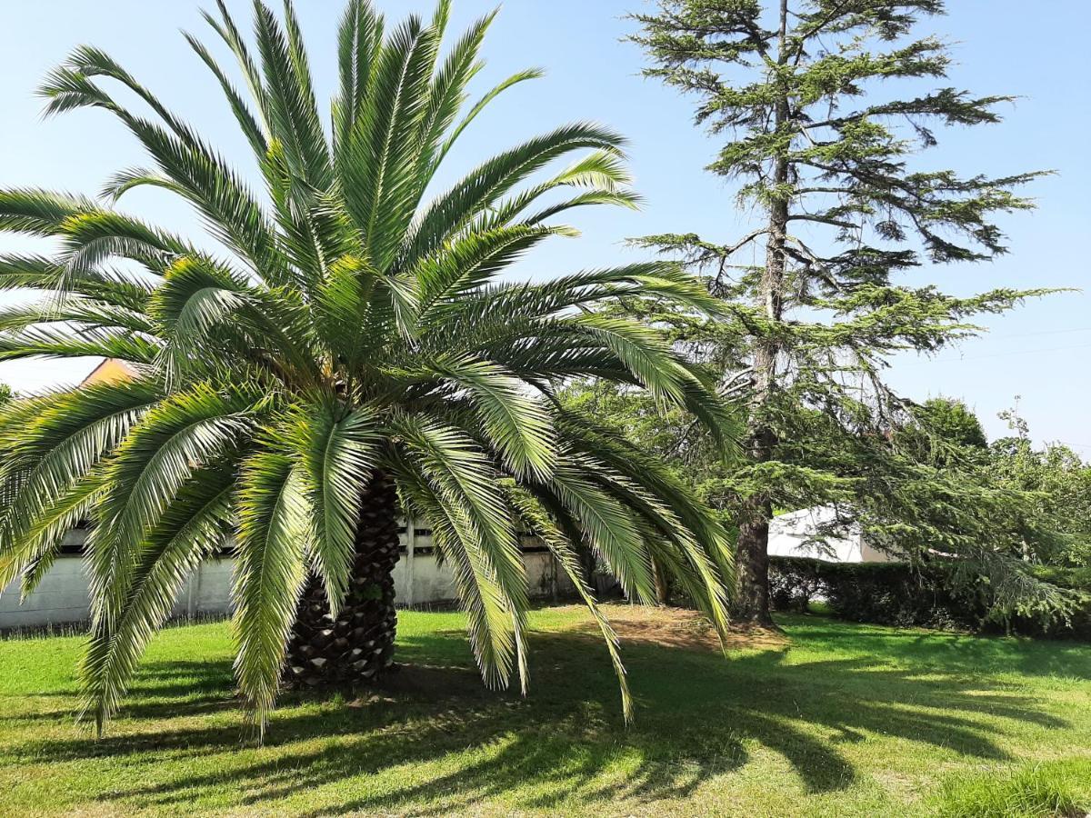 Casa De Verano La Gaviota En Asturias Villaviciosa  Exterior photo
